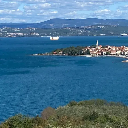 Leni Porec