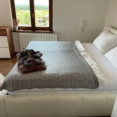 Leni Porec Willa Montižana