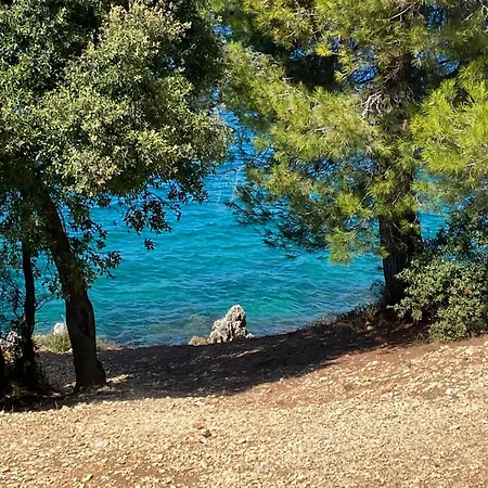 Leni Porec *